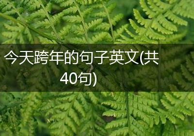 今天跨年的句子英文(共40句)