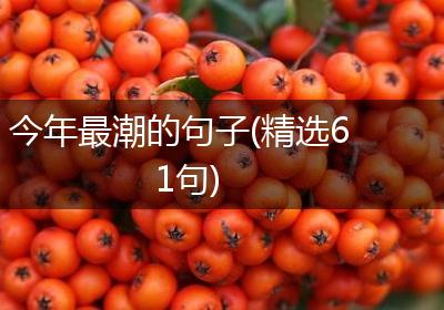 今年最潮的句子(精选61句)