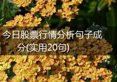 今日股票行情分析句子成分(实用20句)