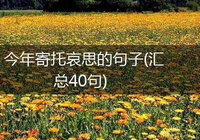 今年寄托哀思的句子(汇总40句)