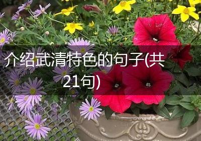 介绍武清特色的句子(共21句)
