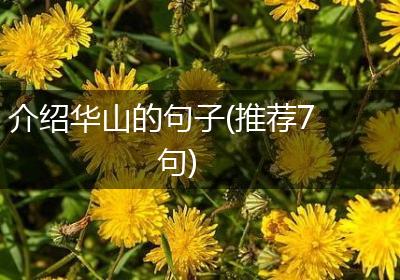 介绍华山的句子(推荐7句)