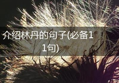 介绍林丹的句子(必备11句)