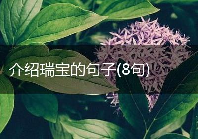 介绍瑞宝的句子(8句)