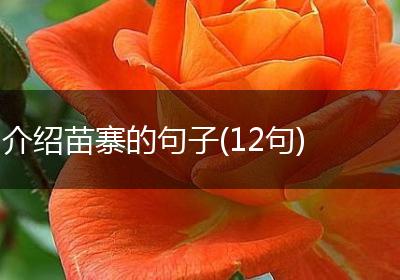 介绍苗寨的句子(12句)