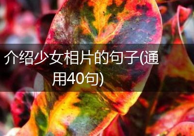 介绍少女相片的句子(通用40句)