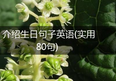 介绍生日句子英语(实用80句)