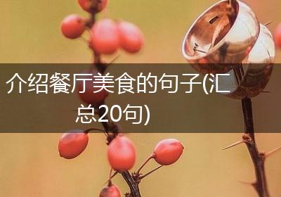 介绍餐厅美食的句子(汇总20句)