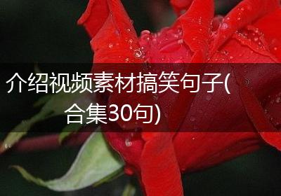 介绍视频素材搞笑句子(合集30句)