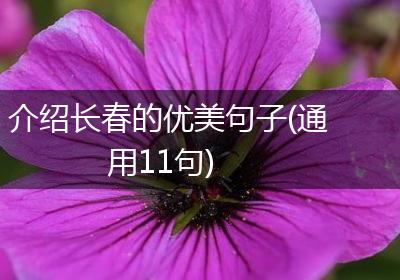 介绍长春的优美句子(通用11句)