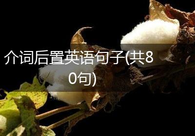 介词后置英语句子(共80句)
