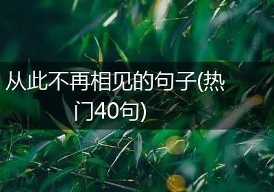 从此不再相见的句子(热门40句)