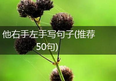 他右手左手写句子(推荐50句)