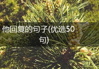 他回复的句子(优选50句)