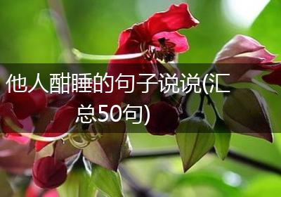 他人酣睡的句子说说(汇总50句)