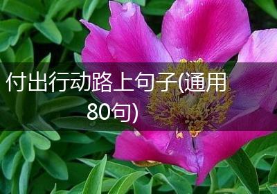 付出行动路上句子(通用80句)