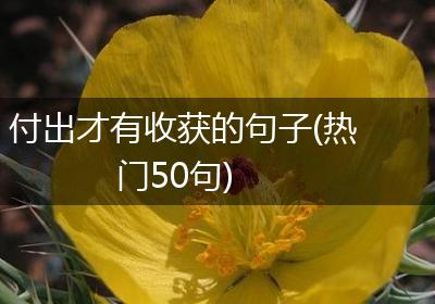 付出才有收获的句子(热门50句)