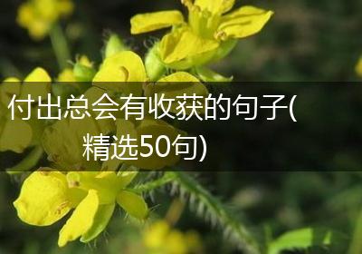 付出总会有收获的句子(精选50句)