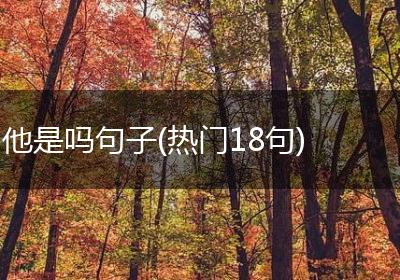 他是吗句子(热门18句)