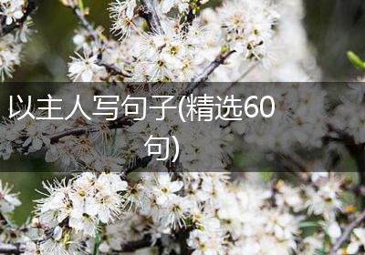 以主人写句子(精选60句)