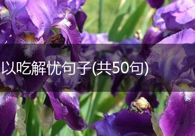 以吃解忧句子(共50句)