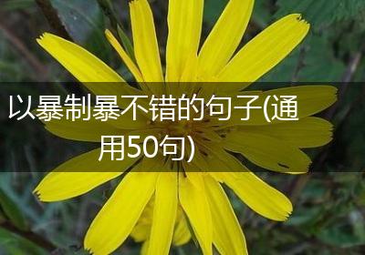以暴制暴不错的句子(通用50句)