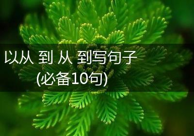 以从 到 从 到写句子(必备10句)