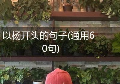 以杨开头的句子(通用60句)