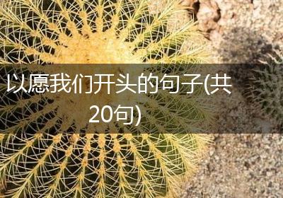 以愿我们开头的句子(共20句)