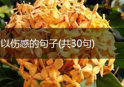 以伤感的句子(共30句)