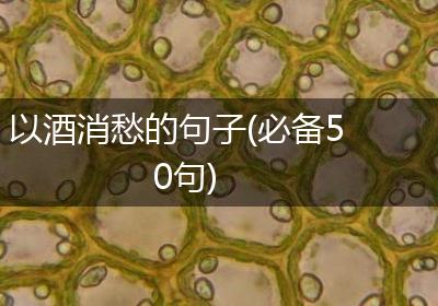 以酒消愁的句子(必备50句)
