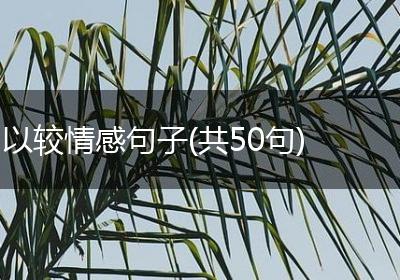 以较情感句子(共50句)
