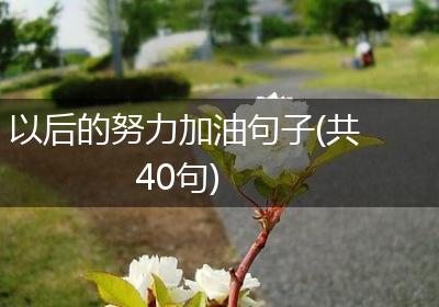 以后的努力加油句子(共40句)