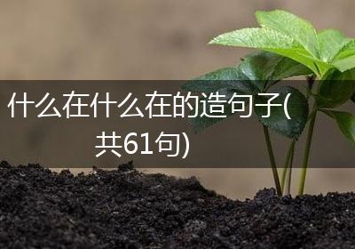 什么在什么在的造句子(共61句)