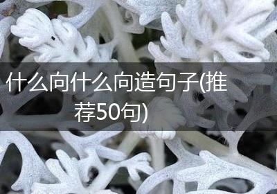 什么向什么向造句子(推荐50句)