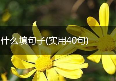 什么填句子(实用40句)