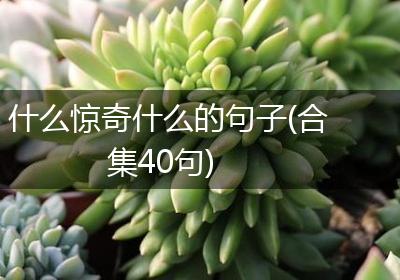 什么惊奇什么的句子(合集40句)