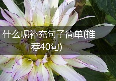 什么呢补充句子简单(推荐40句)