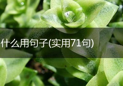 什么用句子(实用71句)