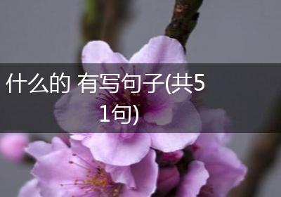 什么的 有写句子(共51句)