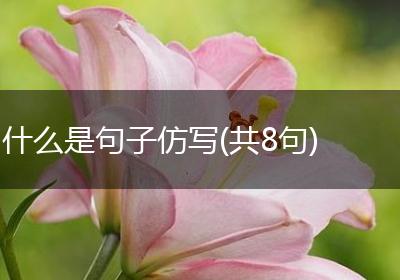 什么是句子仿写(共8句)