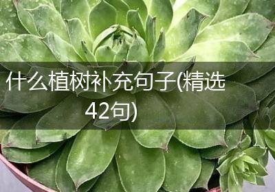 什么植树补充句子(精选42句)