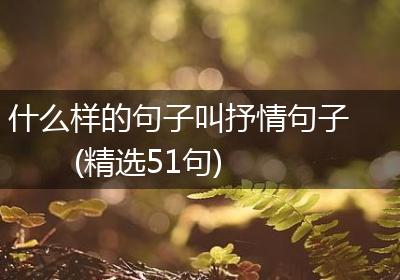 什么样的句子叫抒情句子(精选51句)