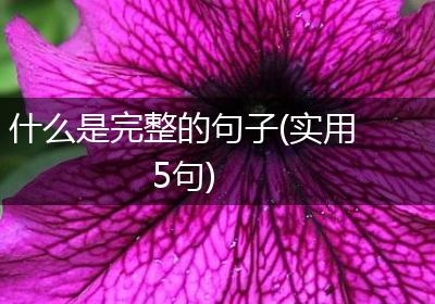 什么是完整的句子(实用5句)