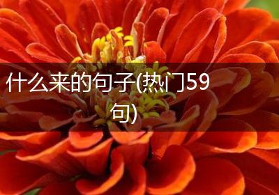 什么来的句子(热门59句)