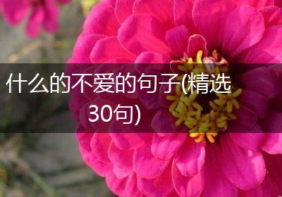 什么的不爱的句子(精选30句)