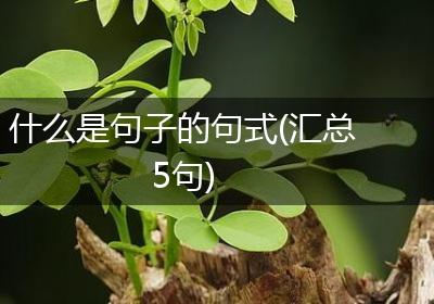 什么是句子的句式(汇总5句)