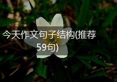今天作文句子结构(推荐59句)