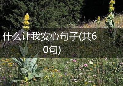 什么让我安心句子(共60句)