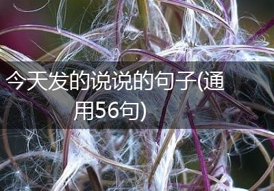 今天发的说说的句子(通用56句)